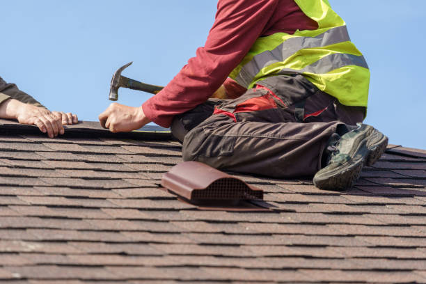 Best Shingle Roofing Installation  in Coal Grove, OH
