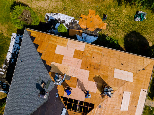 Best Local Roofing Companies  in Coal Grove, OH